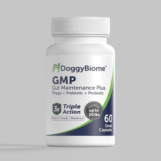 Dog Probiotics - GMP Prebiotics and Probiotics - Reduce Diarrhea Flareups - for Dogs Under 20 lbs (60 Capsules) - DoggyBiome