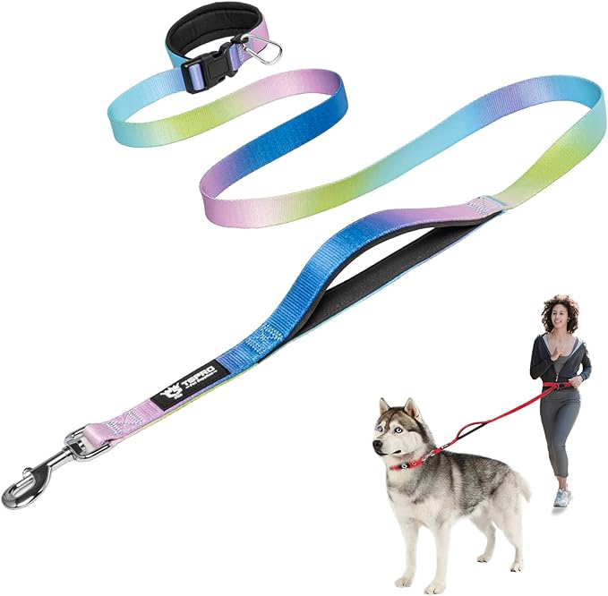 TSPRO Hands Free Dog Leash for Medium to Large Dogs, Adjustable Durable Leash with Comfortable Safety Padded Handle, Heavy Duty Metal Clasp for Walking, Running (Cyan - Purple - Blue Gradient)