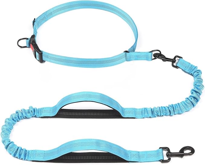iYoShop Retractable Hands Free Dog Leash - Dual Handle Bungee Waist Leash for Small, Medium and Large Dogs (Small, 8-25 lbs, Baby Blue)