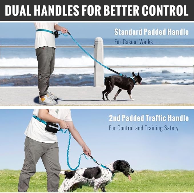 Plutus Pet Hands Free Dog Leash - Soft Padded Dual Handle Retractable Bungee With Reflective Stitches, Adjustable Waist for Walking Running Jogging, Medium Large Dogs