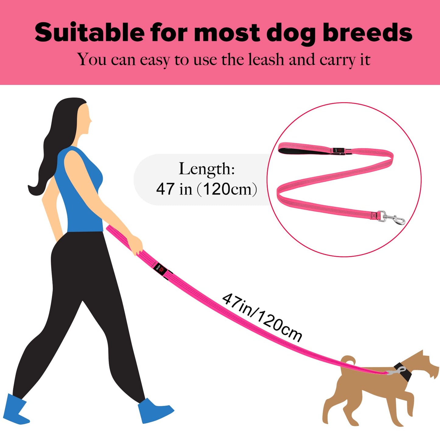 Illumifun LED Dog Leash - USB Rechargeable Light Up Dog Leash Glow in The Dark, Nylon Glowing Dog Lead for Your Dogs Walking (PinkⅡ)