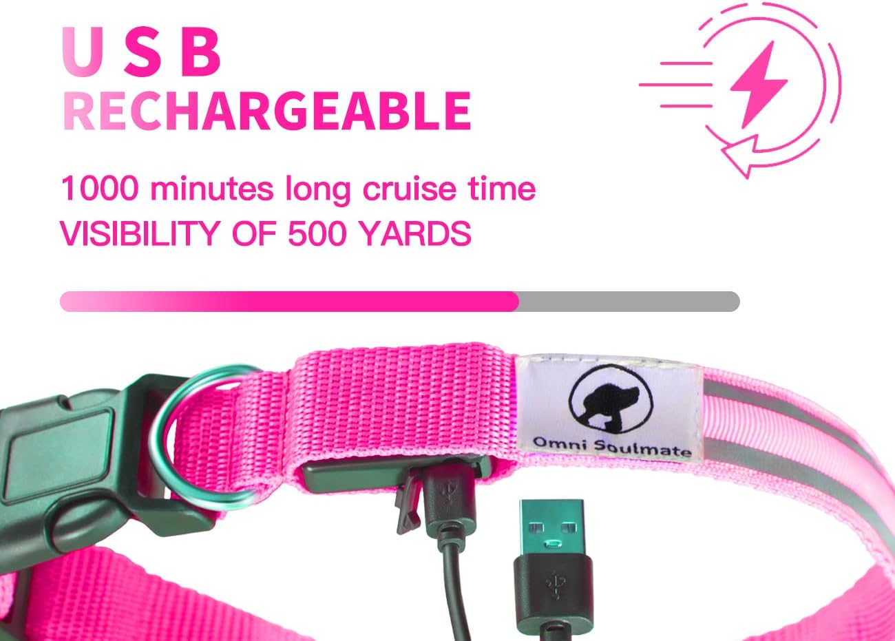 Omni Soulmate LED Dog Collar - Light Up Collars for Night, Personalized, Small & Large Dogs