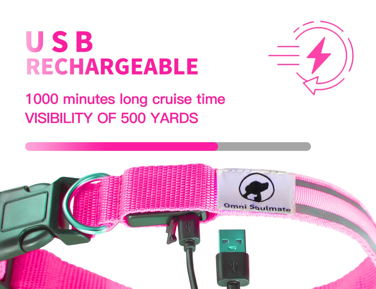 Omni Soulmate LED Dog Collar - Light Up Collars for Night, Personalized, Small & Large Dogs