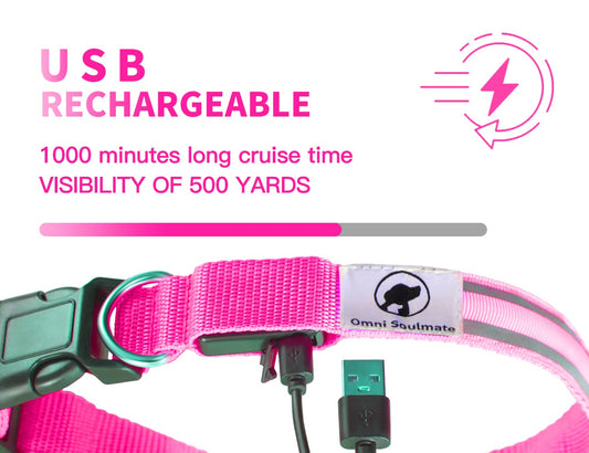 Omni Soulmate LED Dog Collar - Light Up Collars for Night, Personalized, Small & Large Dogs
