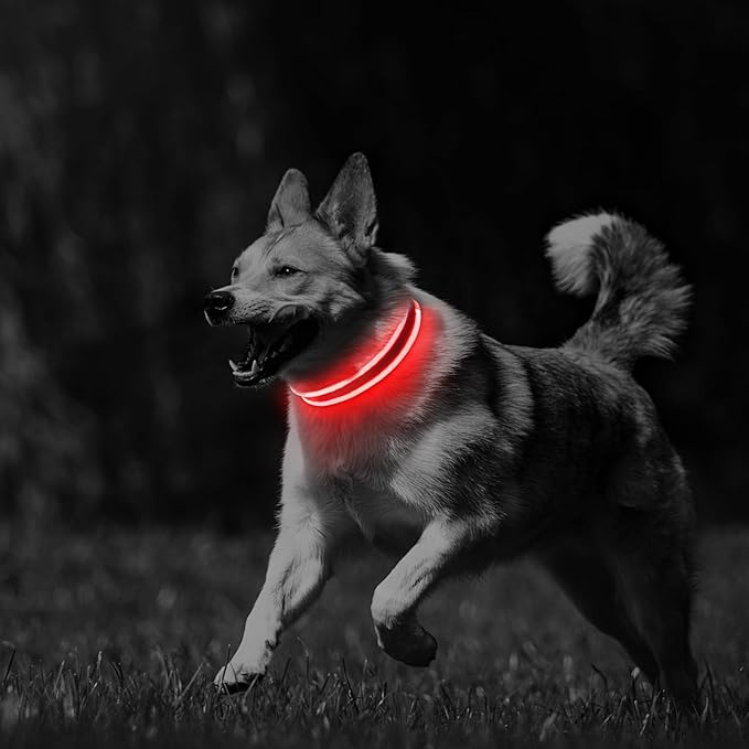 PcEoTllar Light up Dog Collars Rechargeable, LED Dog Collar Night Walking, Waterproof Flashing Glow in The Dark Dog Collars, Adjustable Dog Lights for Large Small Medium Dogs Red-m