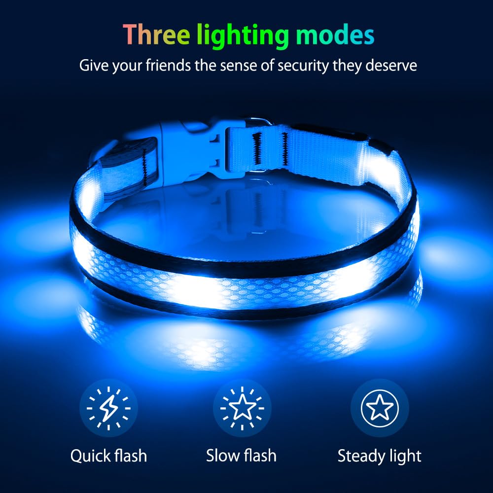 Illumifun LED Dog Collar, USB Rechargeable Light Up Collar Glow in The Dark, Reflcetive Safery Pet Light for Large Dogs Walking at Night (Large, Light Blue)