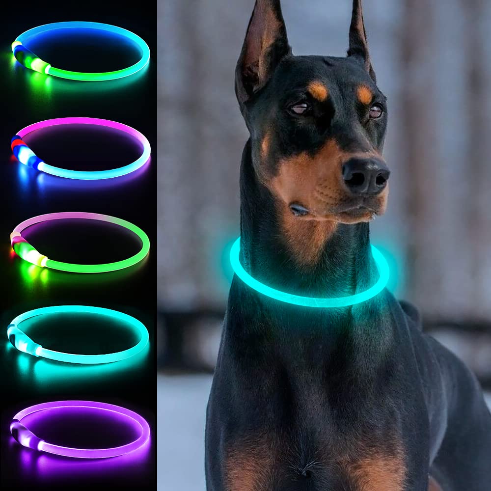 Light Up Dog Collars, USB Rechargeable Dlitk LED Dog Collar 1 Count, TPU Cuttable Size Glow Collar for Dogs, Dog Collar Light, Please Do Not Use Fast Charging (Cyan)