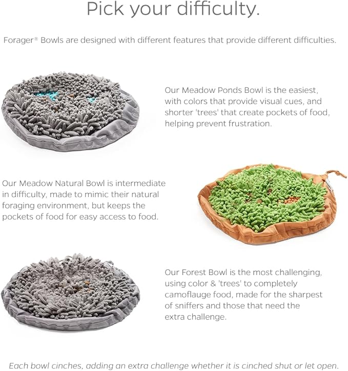 Pet Parents Forager Slow Feeder Bowls with SoftSnout & Non-Slip Backing, Dog Puzzle Toys & Snuffle Mat (Meadow Natural)
