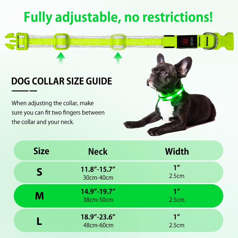 Illumifun Light Up Dog Collar - USB Rechargeable Dog Light Glow in The Dark - High Visibility LED Dog Collar for Night Walking (Medium, Fluorescent Green)