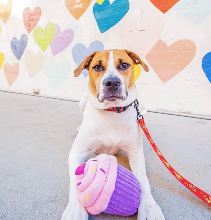 ZippyPaws Birthday Cupcake- Dog Squeaky Toys to Keep Them Busy, Funny Food Plush for Small, Medium, & Large Dogs, Cute Stuffed Puppy Toy, Pet Products, Gift for Dogs of All Breeds, Soft & Cuddly- Pink