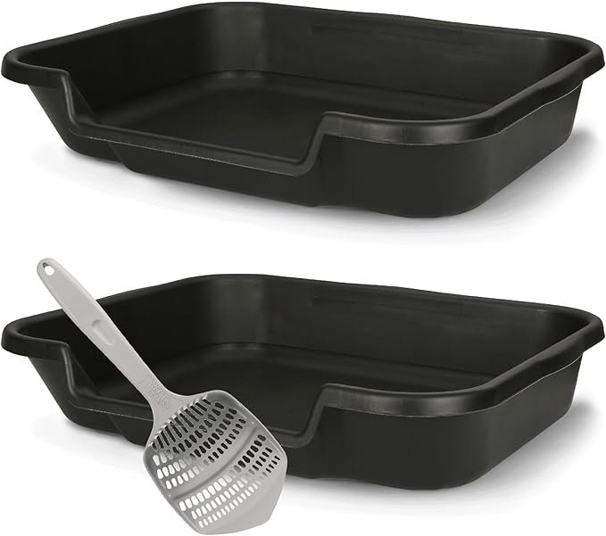 KittyGoHere Senior Cat Litter Box 2 Pack, Large Black Low Entrance Kitty Litter Box, Sized for Cats Comfort, Perfect for Senior and Arthritic Cats, Made in USA – Includes Long-Handle Jumbo Scoop