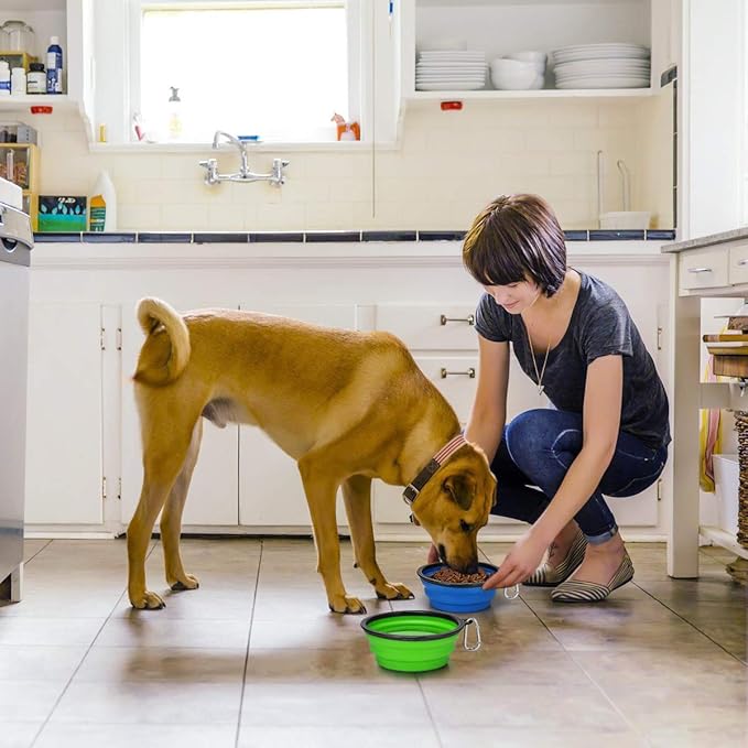 Kytely Large Collapsible Dog Bowls 2 Pack, 34oz Foldable Dog Travel Bowl, Portable Pet Water Food Bowl with Clasp, Pet Cat Feeding Cup Dish for Traveling, Walking, Hiking (Blue+Green)