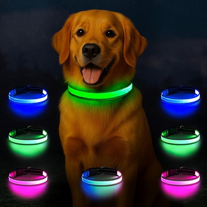 Light Up Dog Collar, Multicolor LED Dog Collar with 7 Modes, USB-C Rechargeable Reflective Glow Collar, Waterproof & Adjustable Design with Battery Indicator for Safe Night Walks(Medium)