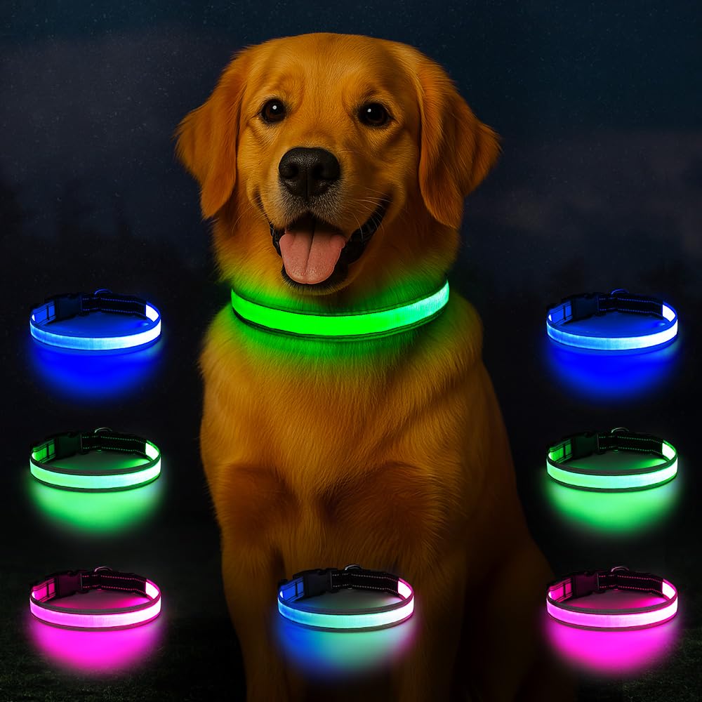 Light Up Dog Collar, Multicolor LED Dog Collar with 7 Modes, USB-C Rechargeable Reflective Glow Collar, Waterproof & Adjustable Design with Battery Indicator for Safe Night Walks(Medium)