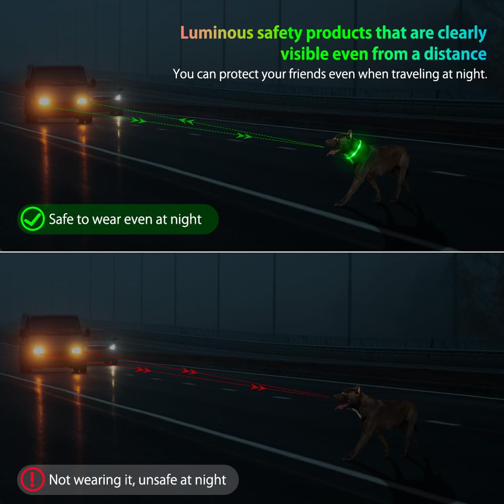 Illumifun Light Up Dog Collar - USB Rechargeable Dog Light Glow in The Dark - High Visibility LED Dog Collar for Night Walking (Medium, Fluorescent Green)