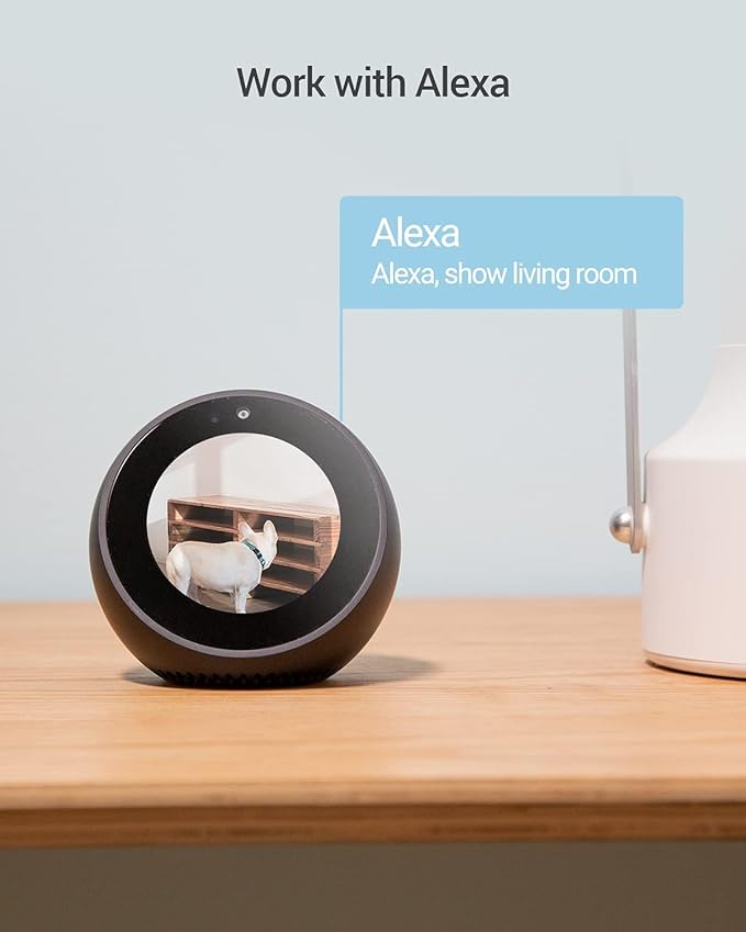 EZVIZ 360° Pan/Tilt WiFi Security Camera Indoor, Cameras for Home Security, Baby Monitor with Camera and Audio, Pet Camera with Phone App, Night Vision, Motion Detection, 2-Way Audio (C6N Black)