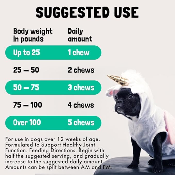 Hemp Hip & Joint Supplement for Dogs Soft Chews Made in USA Functional Glucosamine for Dogs Chondroitin MSM Turmeric Hemp Seed Oil Natural Pain Relief Mobility Advanced Joint 120 Treats