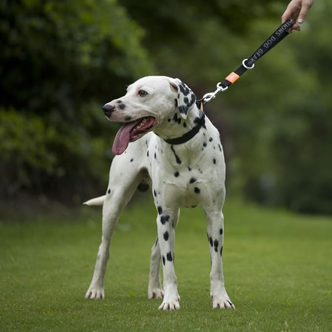HOWGO Short Dog Leash - Aviation Aluminum Hook Lightweight Padded Handles Rope Traffic Leashes for Large Dogs,No Tangle Dog Leash Coupler,Mountain Green