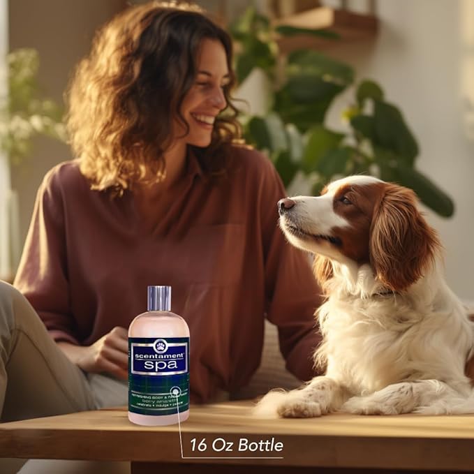 Scentament Spa Seasonal Facial & Body Wash, Berry Amaretto, 16 oz (S55-16oz)