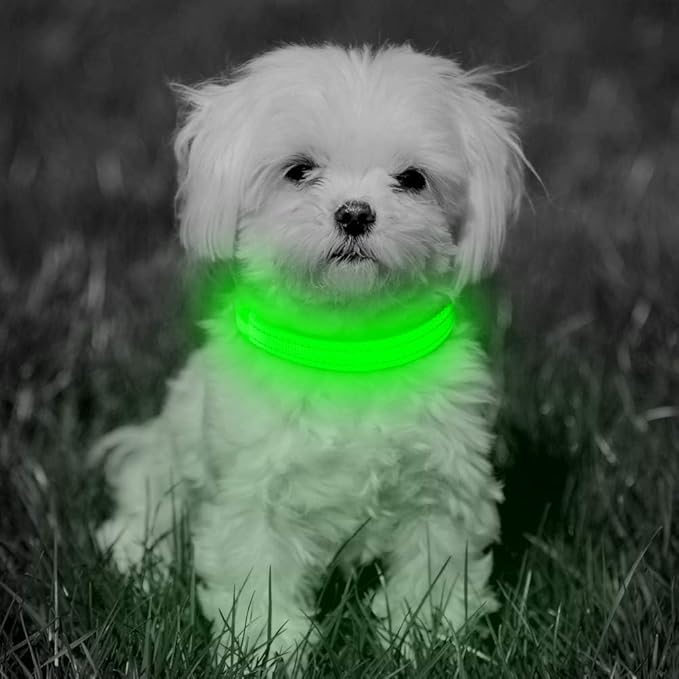 BSEEN Light Up Dog Collars - Glowing LED Dog Collar Rechargeable Puppy Collar for Small Dogs & Cats, Safety Dog Lights for Night Walking (Green)