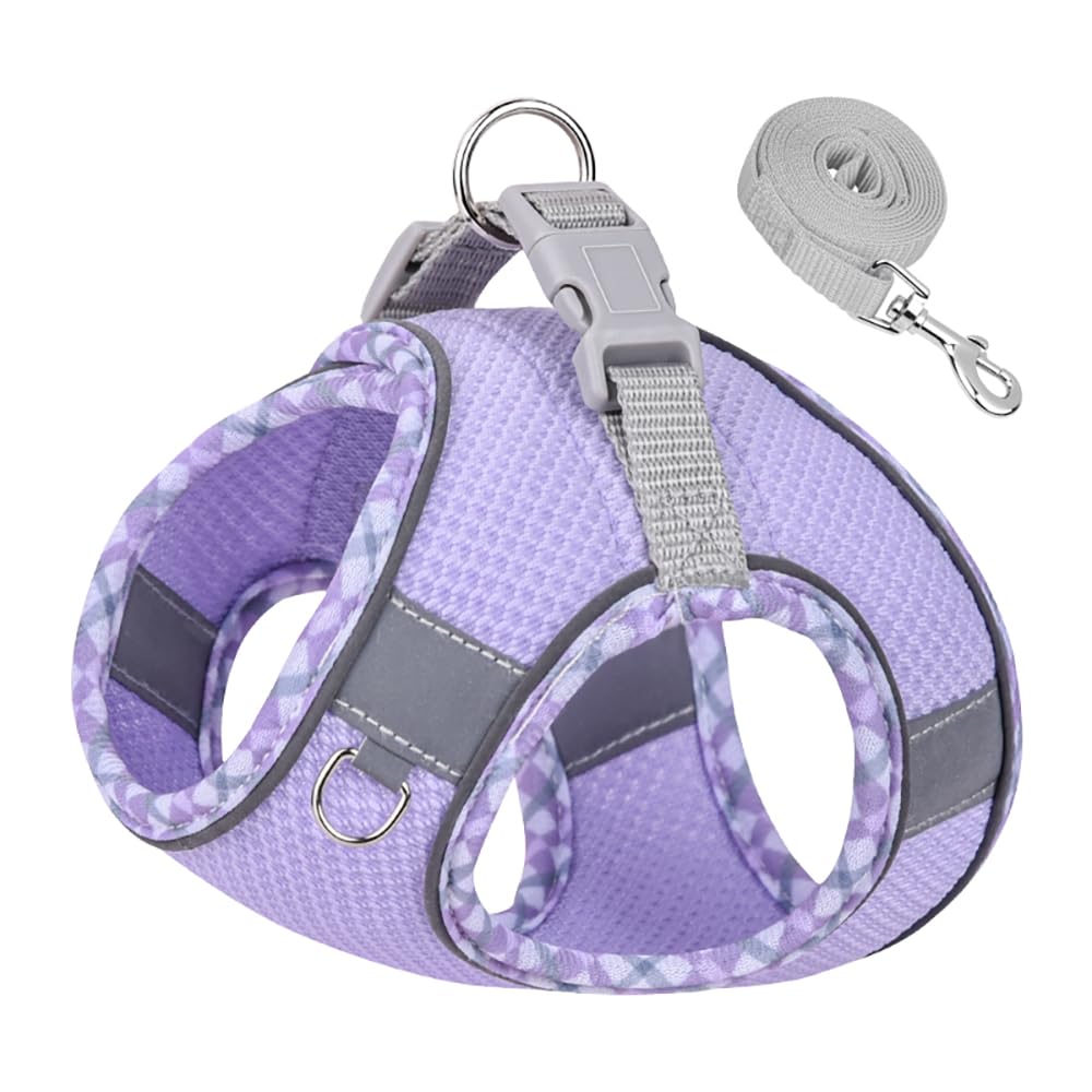 Dog Harness and Leash Set, No Pull Adjustable Reflective Pet Harness for Small Medium Dogs, Easy Walk Step in Vest Harness Outdoor Hiking Training for Extra Small Dogs, Puppy, Cats(Purple,XXS)