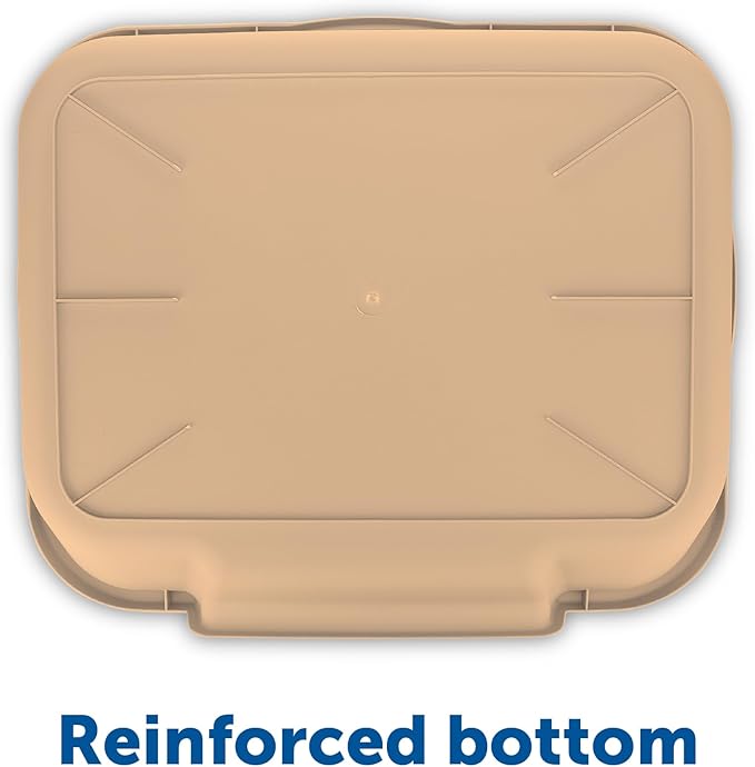 KittyGoHere Senior Cat Litter Box 1 Pack, Large Beach Sand Low Entrance Kitty Litter Box, Sized for Cats Comfort, Perfect for Senior and Arthritic Cats, Made in USA – Includes Long-Handle Jumbo Scoop