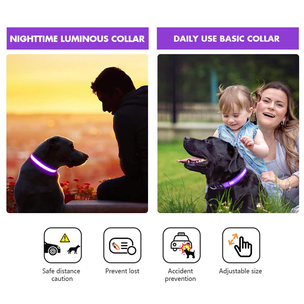 MASBRILL Light Up Dog Collar - LED Dog Collar Rechargeable Waterproof Night Walking Glow Collar for Dogs (M, Purple)