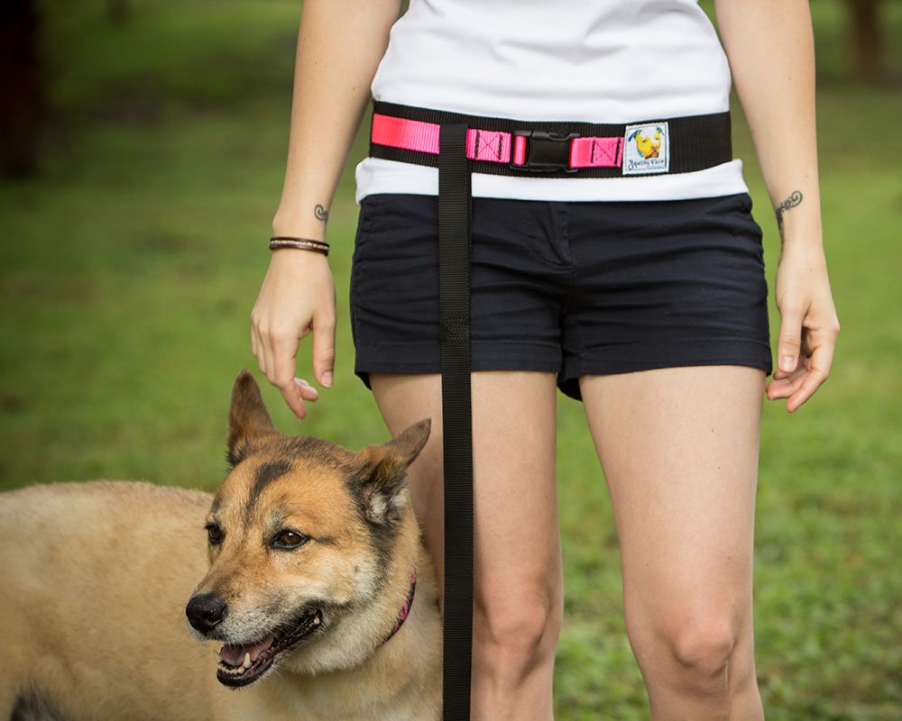 Squishy Face Studio Hands Free Dog Leash Belt - Medium-Large - Neon Yellow