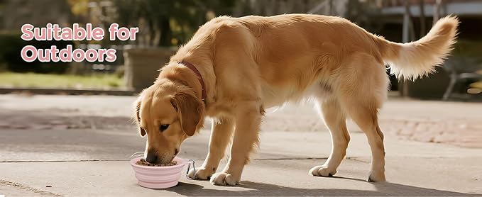Collapsible Dog Bowls, 2 Pack (650ml), Large Size for Large/Medium Dogs Family Value Pack and Travel Walk (Green+Yellow)