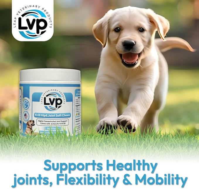 Dogs Suplements Hip & Joint - Krill Oil and Glucosamine Soft Chews, Joint Supplement for Dogs with Krill Oil,Glucosamine, Chondroitin, MSM, Turmeric, Anti Inflammatory, Mobility (Beef 90ct)