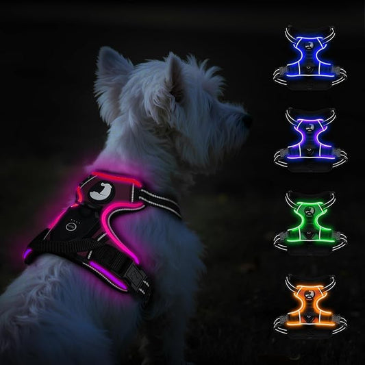 Taglory Light Up Dog Harness, Rechargeable No Pull Dog Vest with 3 Lightning Modes, Reflective Dog Harness with 2 Leash Clips & 4 Adjustable Slide Strips for Small Dogs, Hotpink-Hotpink, S