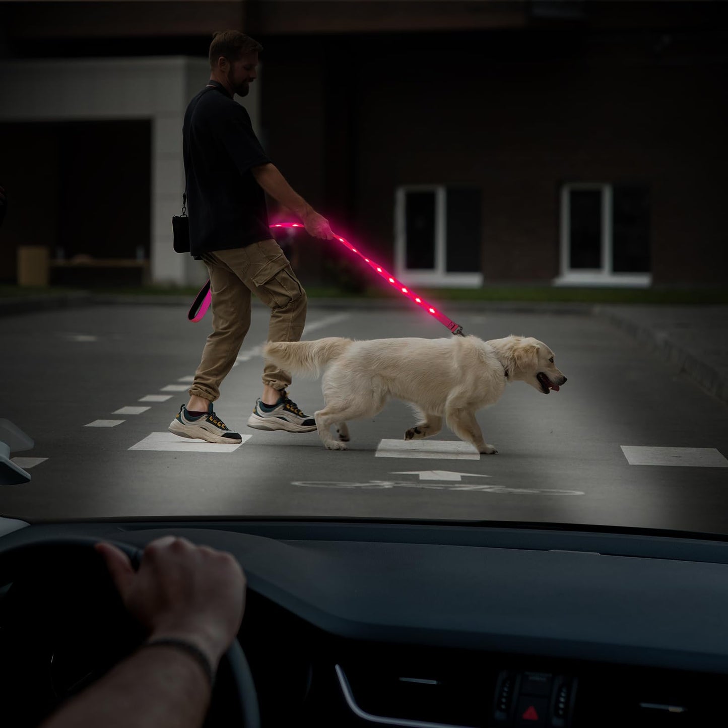 Illumifun LED Dog Leash - USB Rechargeable Light Up Dog Leash Glow in The Dark, Nylon Glowing Dog Lead for Your Dogs Walking (PinkⅡ)