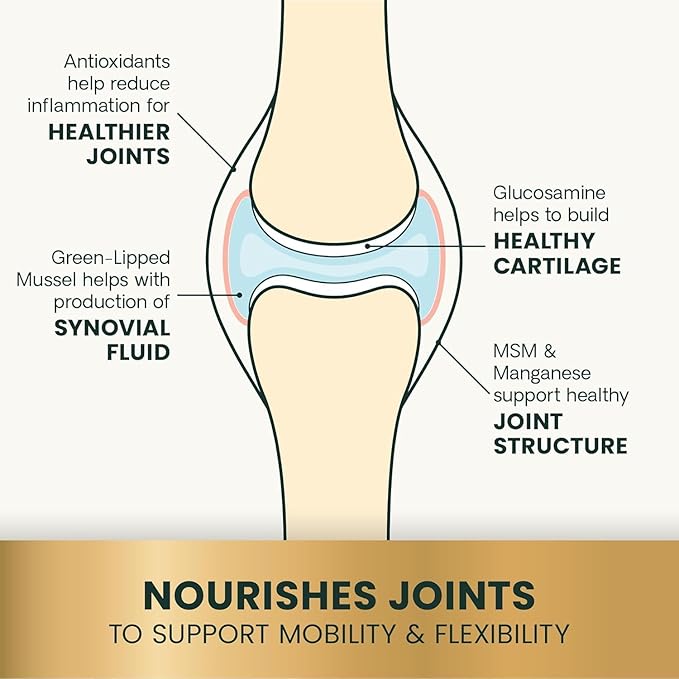 VetriScience Glycoflex 3 Hip and Joint Supplement for Dogs - Maximum Strength Dog Supplement with Glucosamine, MSM, Green Lipped Mussel & DMG - 3 Pack (120 Chews Each)