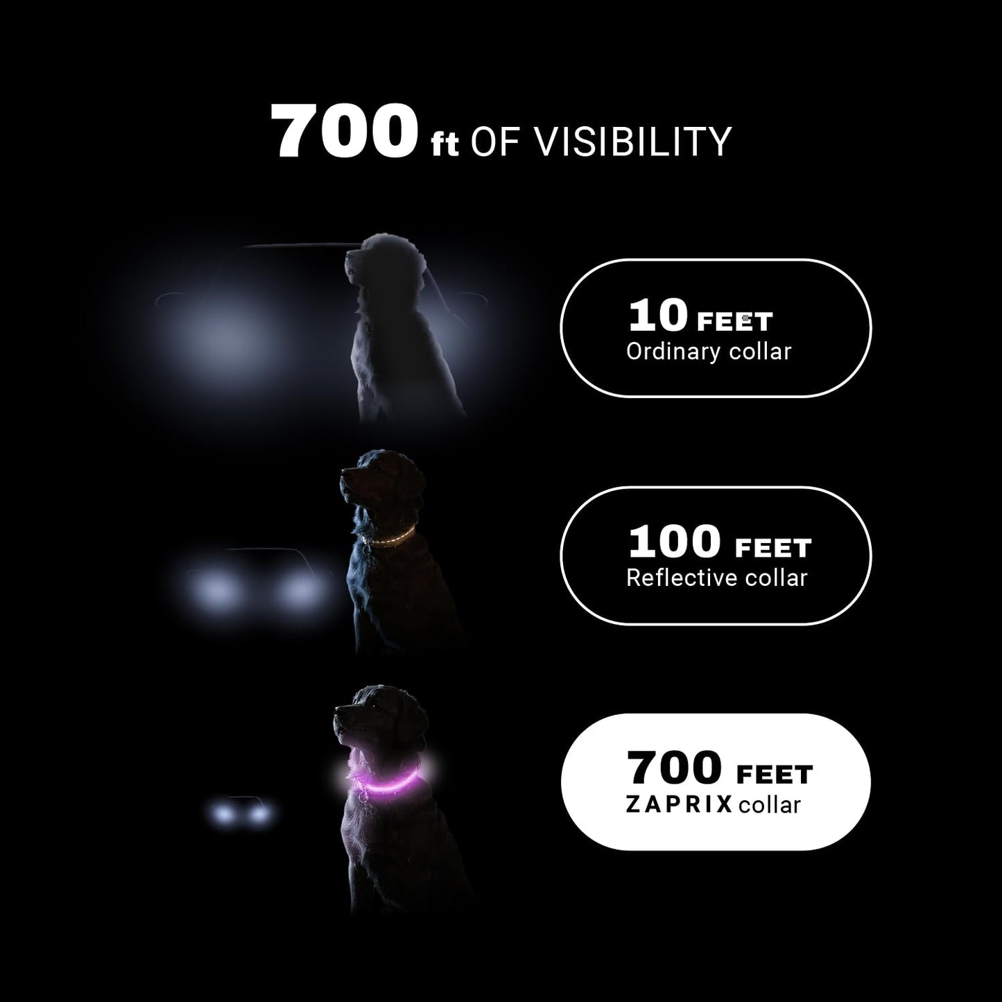 ZAPRIX LED Dog Collar - Bright Premium Weatherproof Light Up Collar for Pet Safety, USB C Rechargeable & Adjustable for Small, Medium & Large Dogs (Multicolor, Medium)