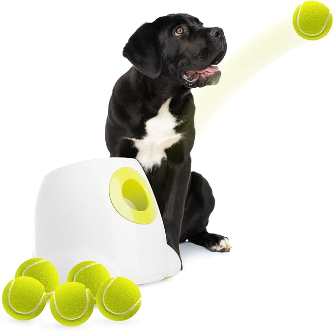 ALL FOR PAWS Automatic Dog Ball Launcher Maxi, Interactive Ball Thrower Dog Toys Includes 6pcs Tennis Balls for Large Dogs