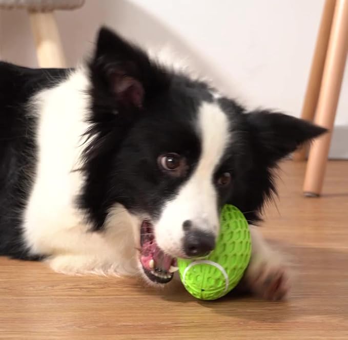 AUSCAT Squeaky Dog Football Toy for Aggressive Chewers, Tough Rubber Dog Ball for Medium Large Dogs, Green, Large, 5.5"