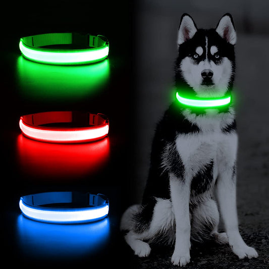 YFbrite Ultra Light Adjustable LED Dog Collar, Light up Dog Collars Rechargeable Glowing in The Dark Collars Visiblity & Safety for Small, Medium, Large Dogs (Green, Small)