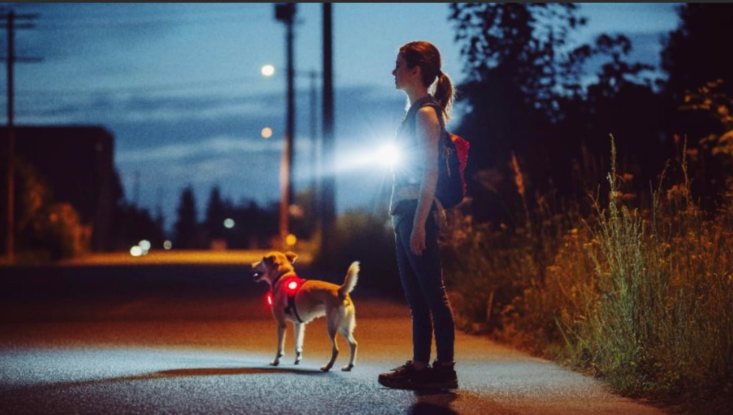 Dog Collar Light (1 Pack), Powerful 500 Lumens Dog Lights for Night Walking, New Generation Rechargeable Reflective Dog Light - Dog Hiking Gear