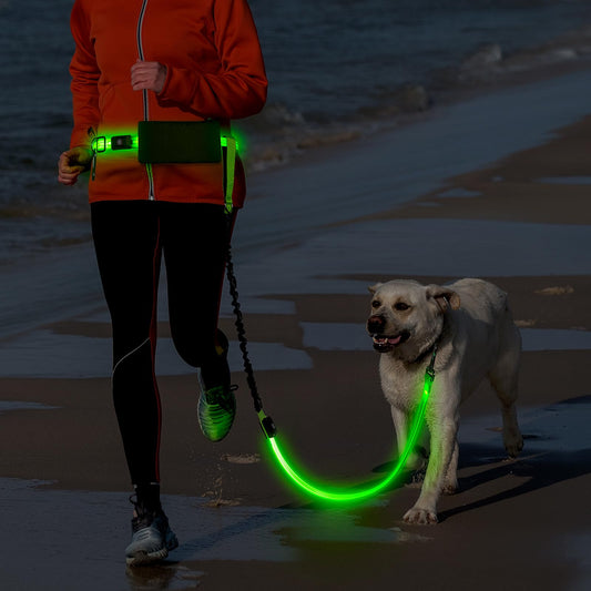 LED Hands Free Dog Leash, Waist Leash for Dog Walking, Retractable Bungee Light Up Dog Leash, LED Handless Dog Running Leash, Reflective Running Leash for Jogging Training Hiking (Green)
