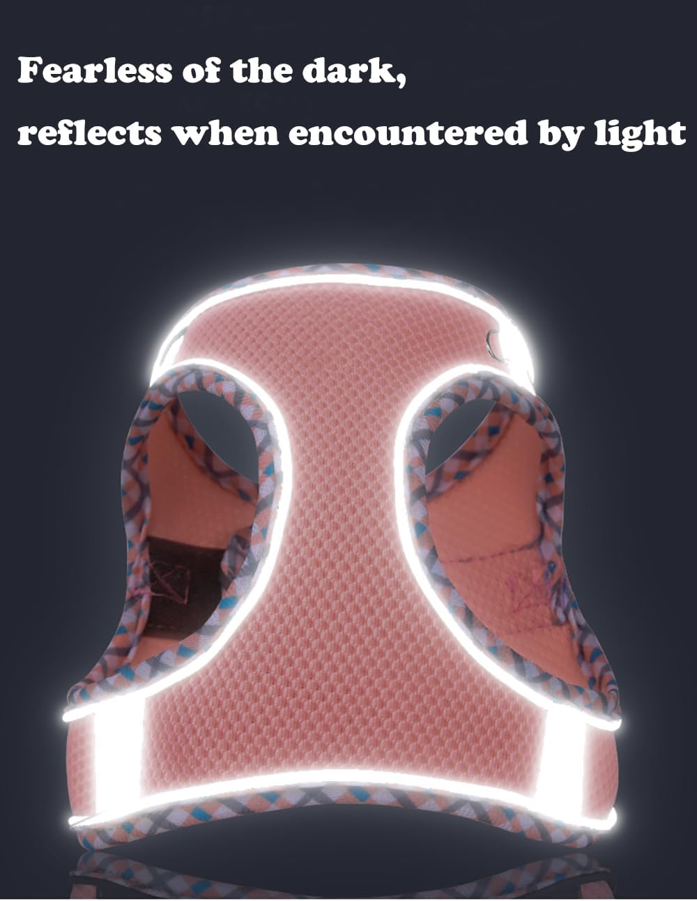 Dog Harness and Leash Set, No Pull Adjustable Reflective Pet Harness for Small Medium Dogs, Easy Walk Step in Vest Harness Outdoor Hiking Training for Extra Small Dogs, Puppy, Cats(Purple,XXS)