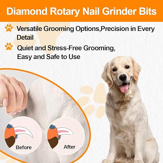 Diamond Rotary Pet Nail Grinder Replacement Heads Dog Nail Grinder Bit-BGTEC 2PCS 1/8" Diamond Replaceable Tip for Pet Claw Grooming(B)