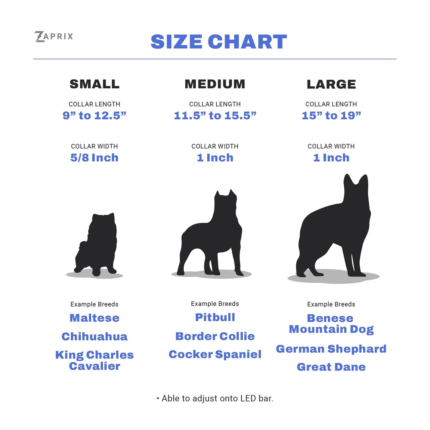 ZAPRIX LED Dog Collar - Bright Premium Weatherproof Light Up Collar for Pet Safety, USB C Rechargeable & Adjustable for Small, Medium & Large Dogs (Multicolor, Medium)