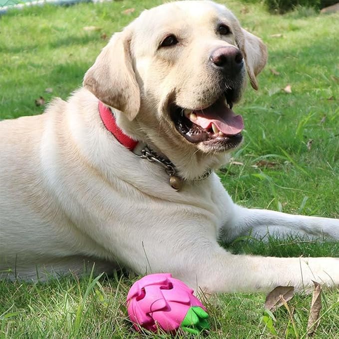 AUSCAT Dog Treat Dispensing Toys, Dispensing Puzzle Dog Toy for Aggressive Chewers, Rubber Dog Treat Dispenser, Interactive Stimulation Dog Food Toys, Pitaya Shape