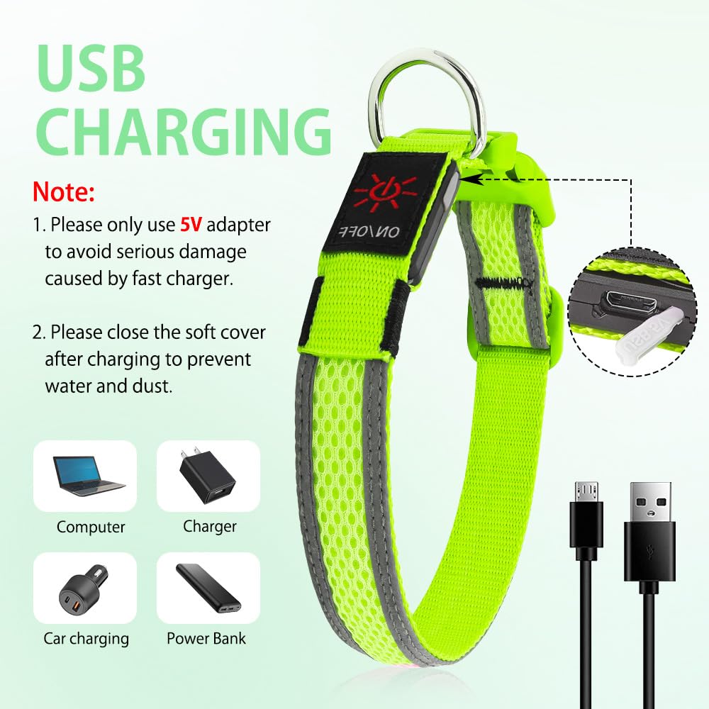 Illumifun Light Up Dog Collar - USB Rechargeable Dog Light Glow in The Dark - High Visibility LED Dog Collar for Night Walking (Medium, Fluorescent Green)