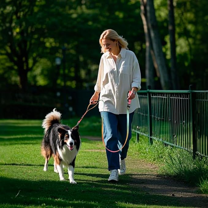 TSPRO Hands Free Dog Leash for Medium to Large Dogs, Adjustable Durable Leash with Comfortable Safety Padded Handle, Heavy Duty Metal Clasp for Walking, Running (Orange - Red - Cyan Gradient)