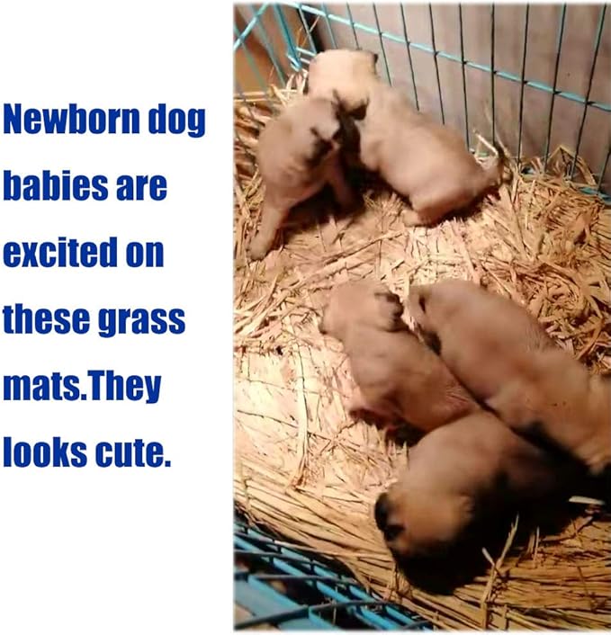 Grass Mat Woven Bed Mat for Small Animal 5 Grass Mats Bunny Bedding Nest Chew Toy Bed Play Toy for Guinea Pig Parrot Rabbit Bunny Hamster Rat