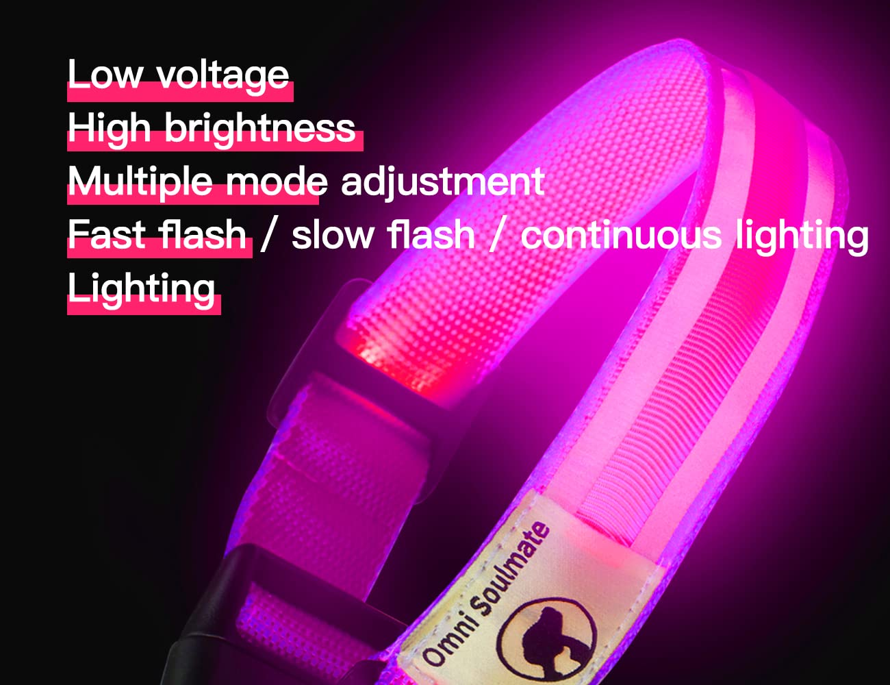 Omni Soulmate LED Dog Collar - Light Up Collars for Night, Personalized, Small & Large Dogs