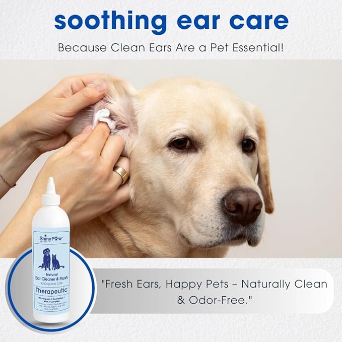 Dog Ear Cleaner Solution for Dogs & Cats by Shiny Paw 16 oz | Wintergreen, Camphor & Aloe – Gentle Ear Flush for Pets Health | Dog Ear Wash | Made in The USA