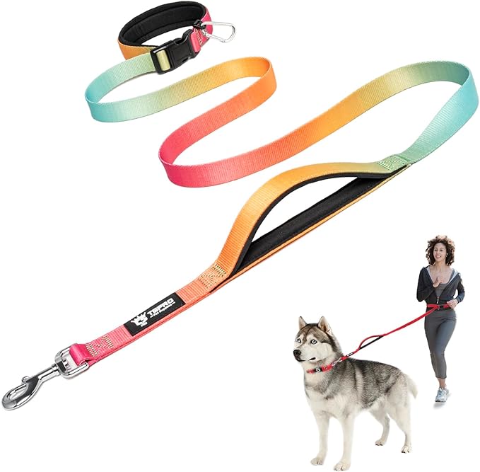 TSPRO Hands Free Dog Leash for Medium to Large Dogs, Adjustable Durable Leash with Comfortable Safety Padded Handle, Heavy Duty Metal Clasp for Walking, Running (Orange - Red - Cyan Gradient)