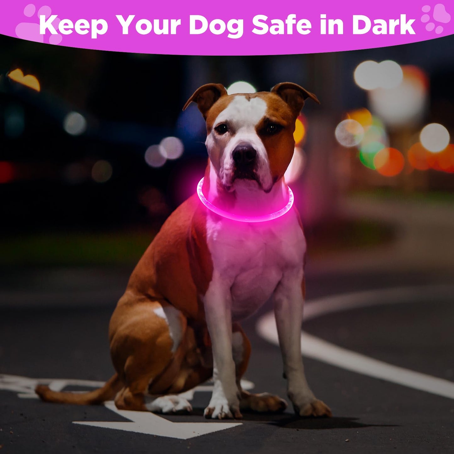 2 Pack Light Up Dog Collar, USB Rechargeable Dog Collar Light for Night Walking, Led Lighted Dog Collar, Glow in The Dark Dog Collar for Small Medium Large Dogs (Pink+Blue)
